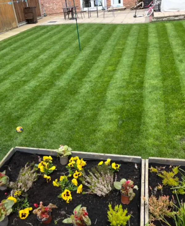 Lawn Treatment
